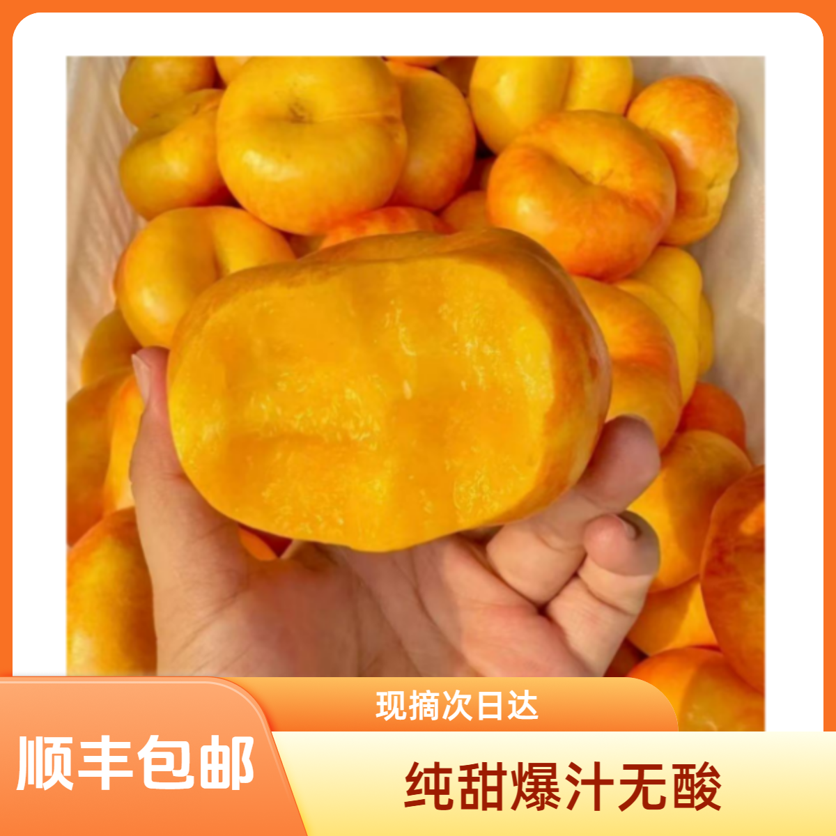 B（蟠大宝）彩虹油蟠桃会爆汁新鲜应季桃子现摘次日达御桃庄园桃子河北省