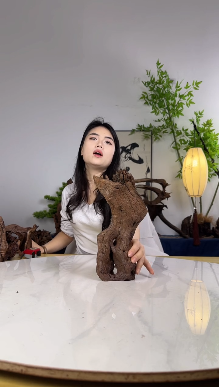 涛拍沉木定向链接编号34