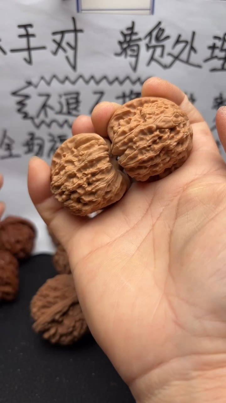 把件文玩核桃131白狮子