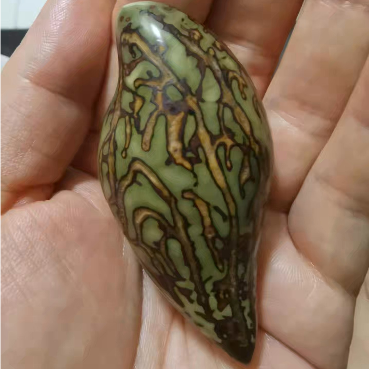 千眼菩提老树果异型果 纯手工打磨（半片）[开果不退 ]