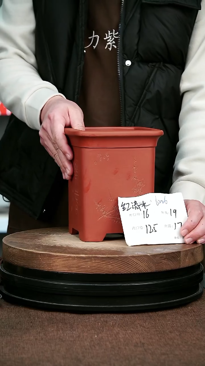 紫砂花盆花卉园艺6226