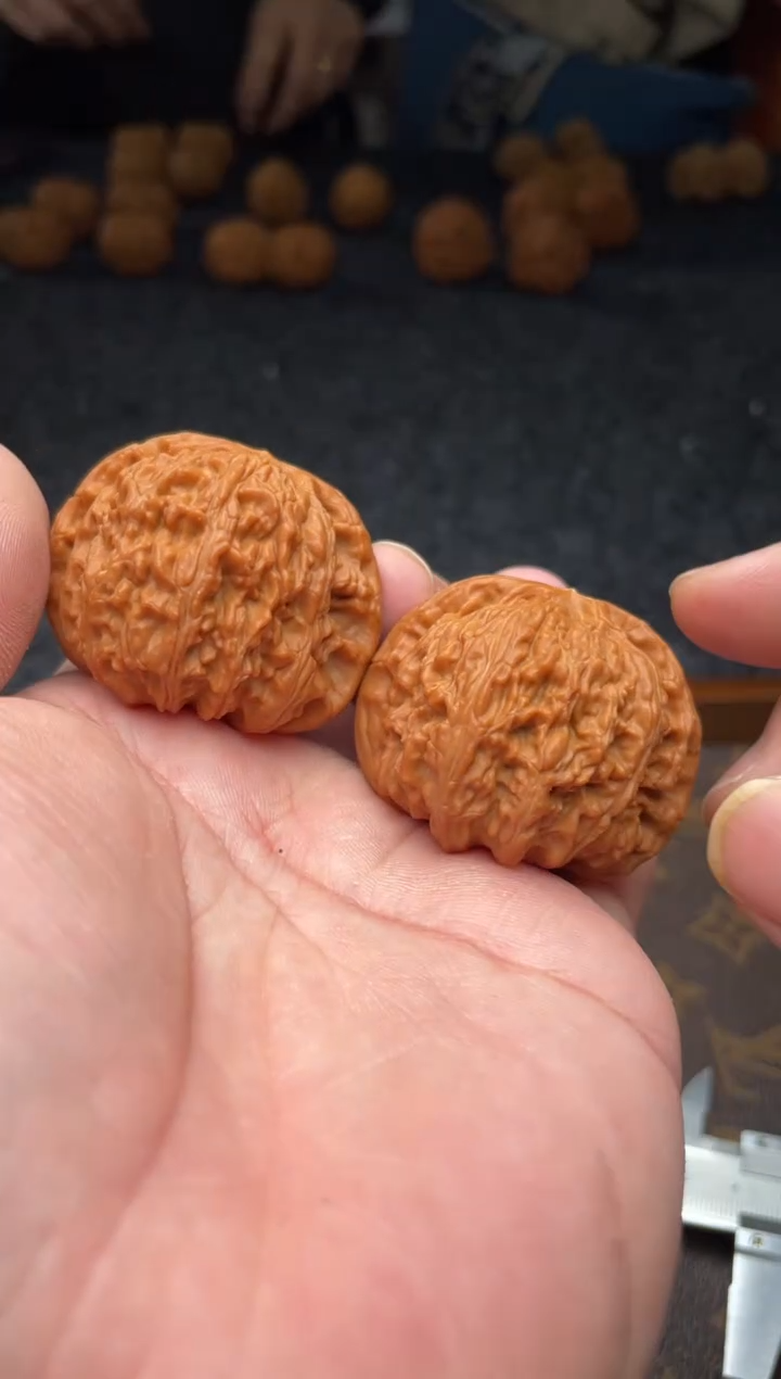 把件文玩核桃B236号43尺白狮子