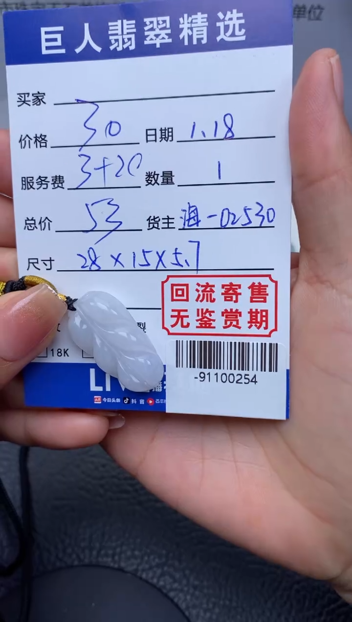 【闪购商品】翡翠颈饰未镶嵌多人-91100254
