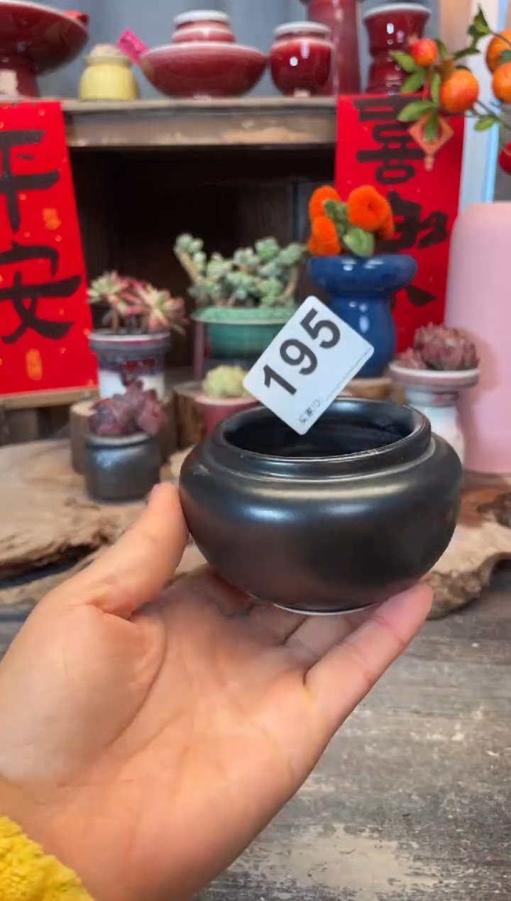【闪购商品】摆件195知木小芳花盆