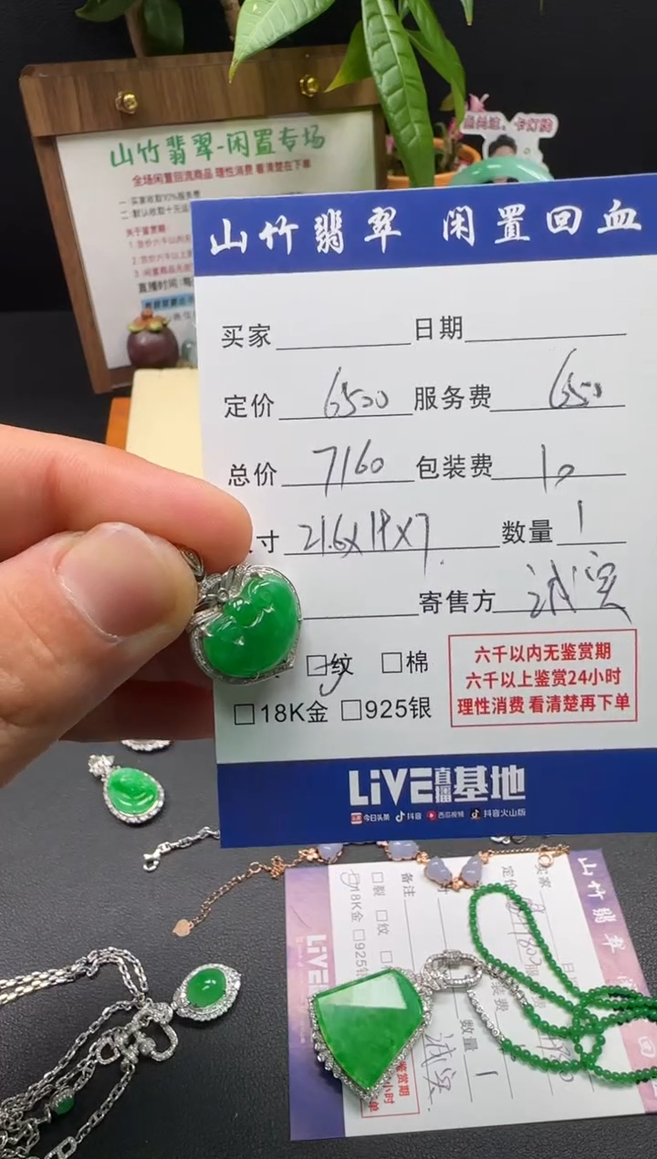 颈饰18K金镶嵌翡翠3002569