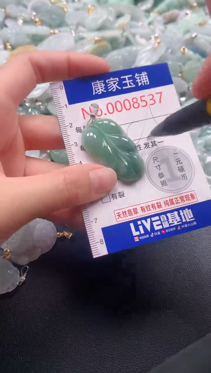 颈饰未镶嵌翡翠8537