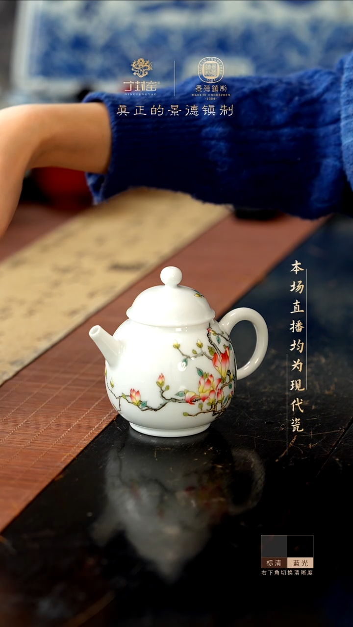 宁封窑粉彩玉兰花壶