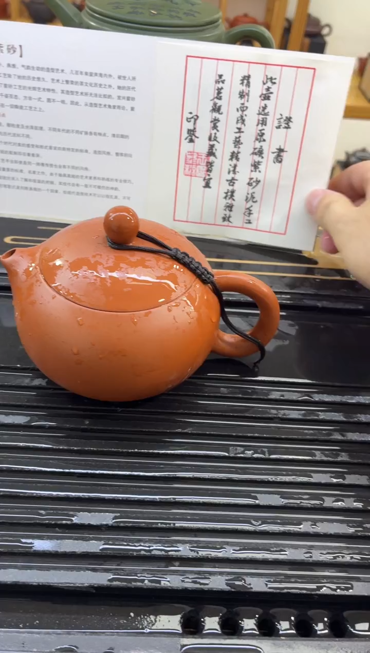 茶壶紫砂300CC单壶