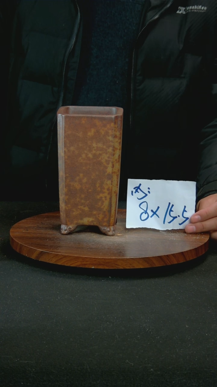【闪购商品】紫砂Y95