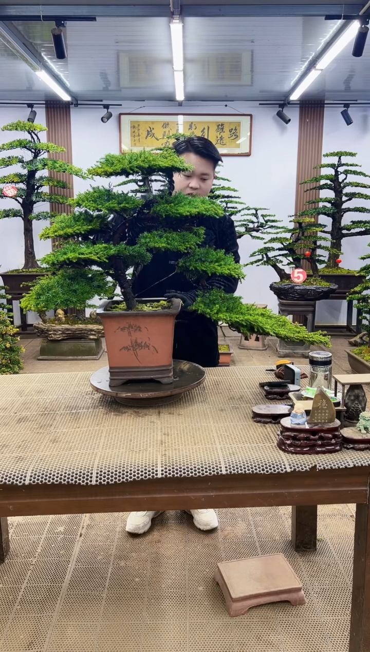 【闪购商品】000000000