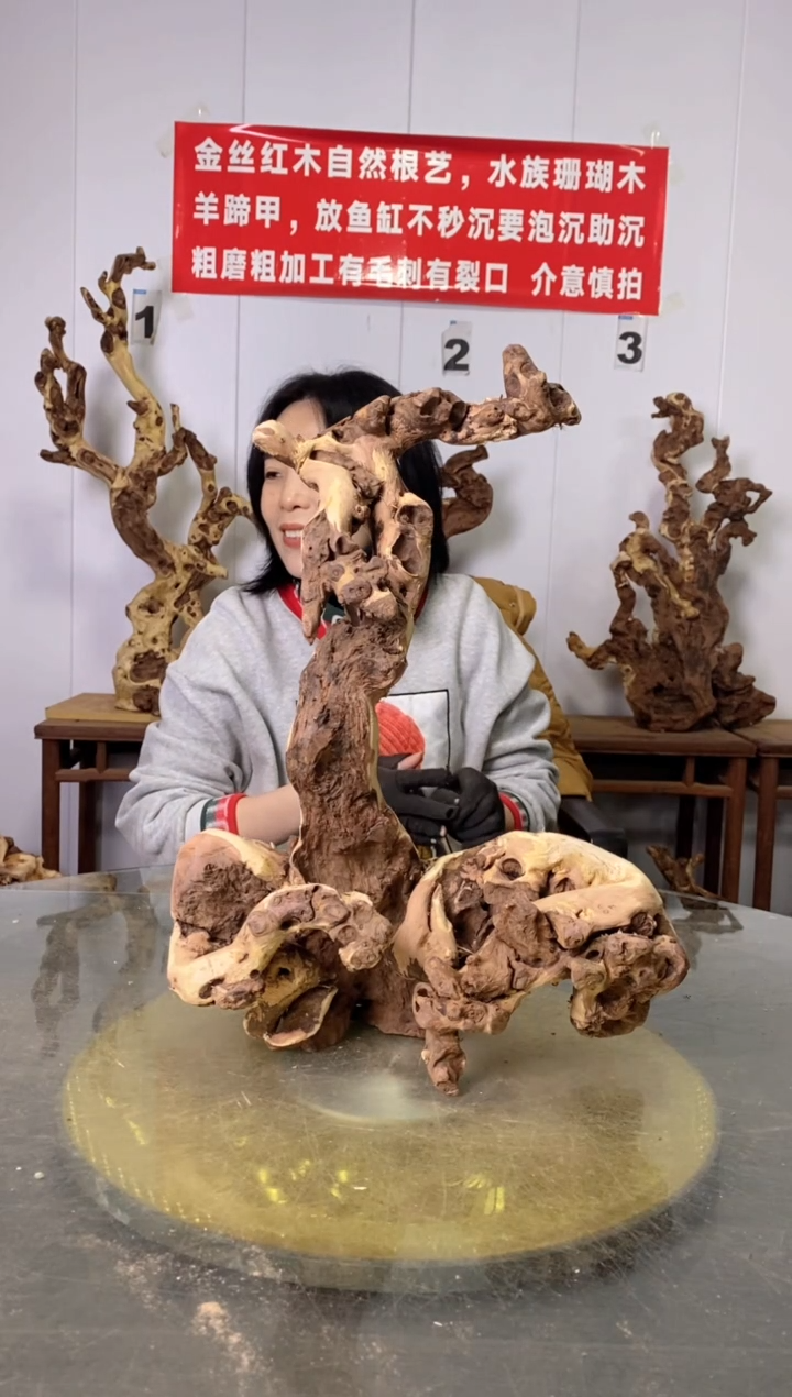 【闪购商品】木45金丝红木 羊蹄甲 