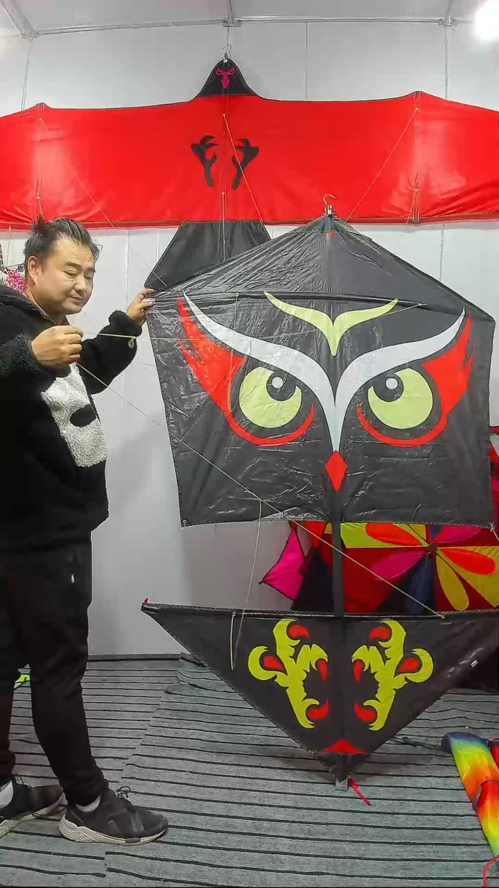 2米25d印刷猫头鹰风筝样品