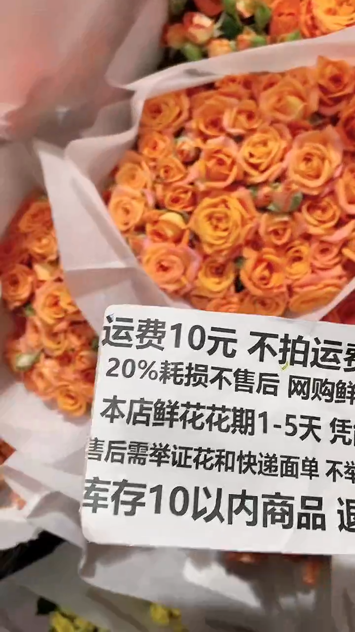 A3-1 橙色芭比泡泡 20%耗损