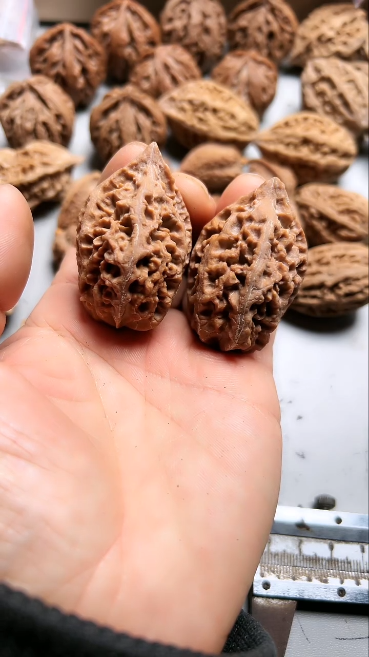 核桃东北野生大秋子7