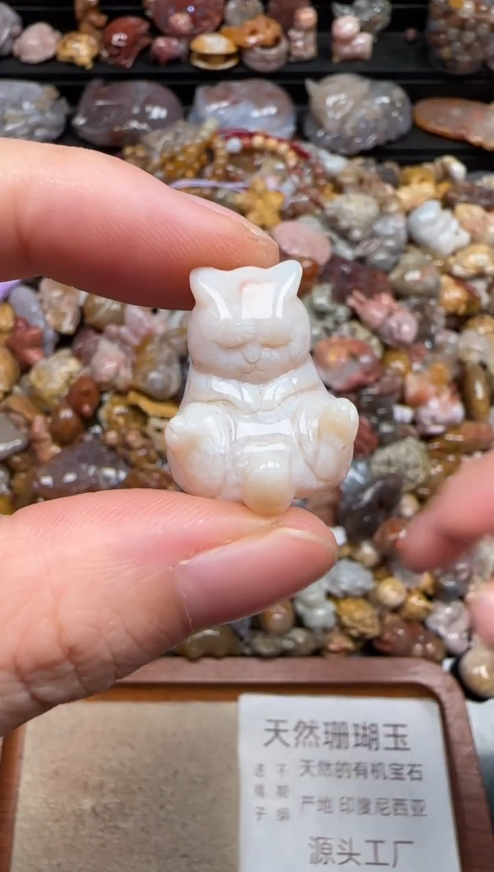 硅化珊瑚（珊瑚玉）未镶嵌颈饰256