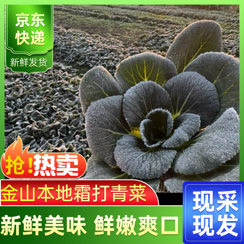 [助农品]芳芳源 本地霜打青菜