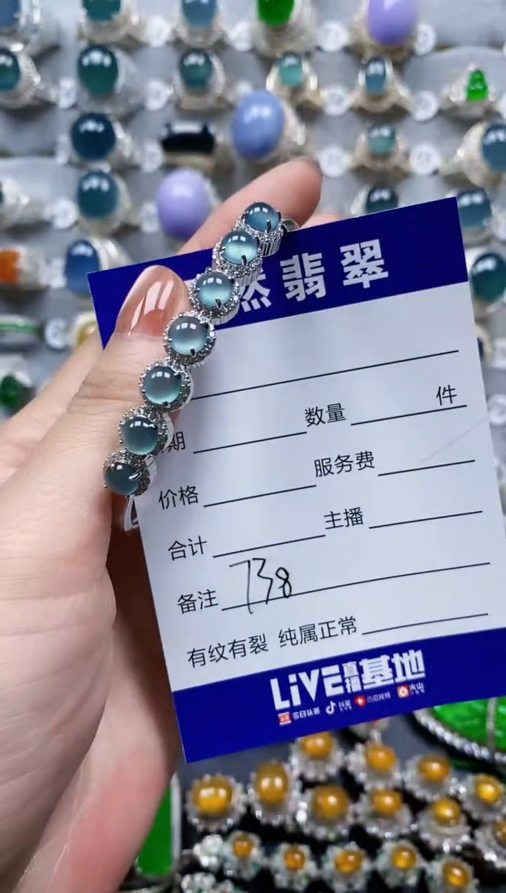 翡翠手镯银S925镶嵌0738