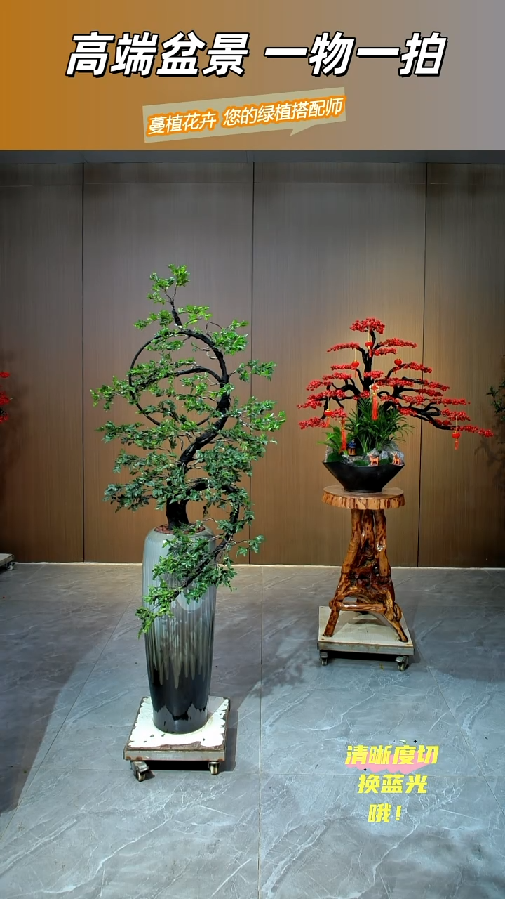 无花朵淡***晓小灰盆-小叶紫檀
