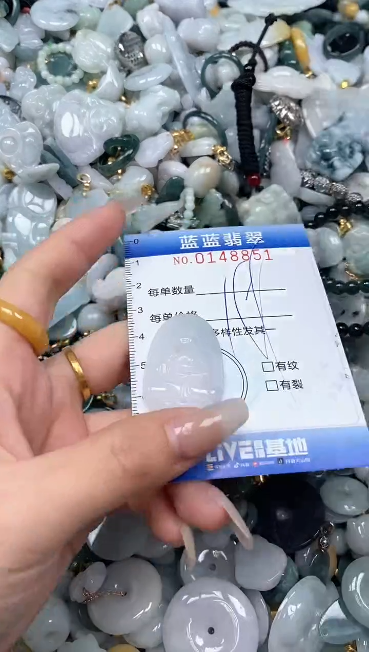 【闪购商品】翡翠颈饰未镶嵌闪购0148851多样性发其一