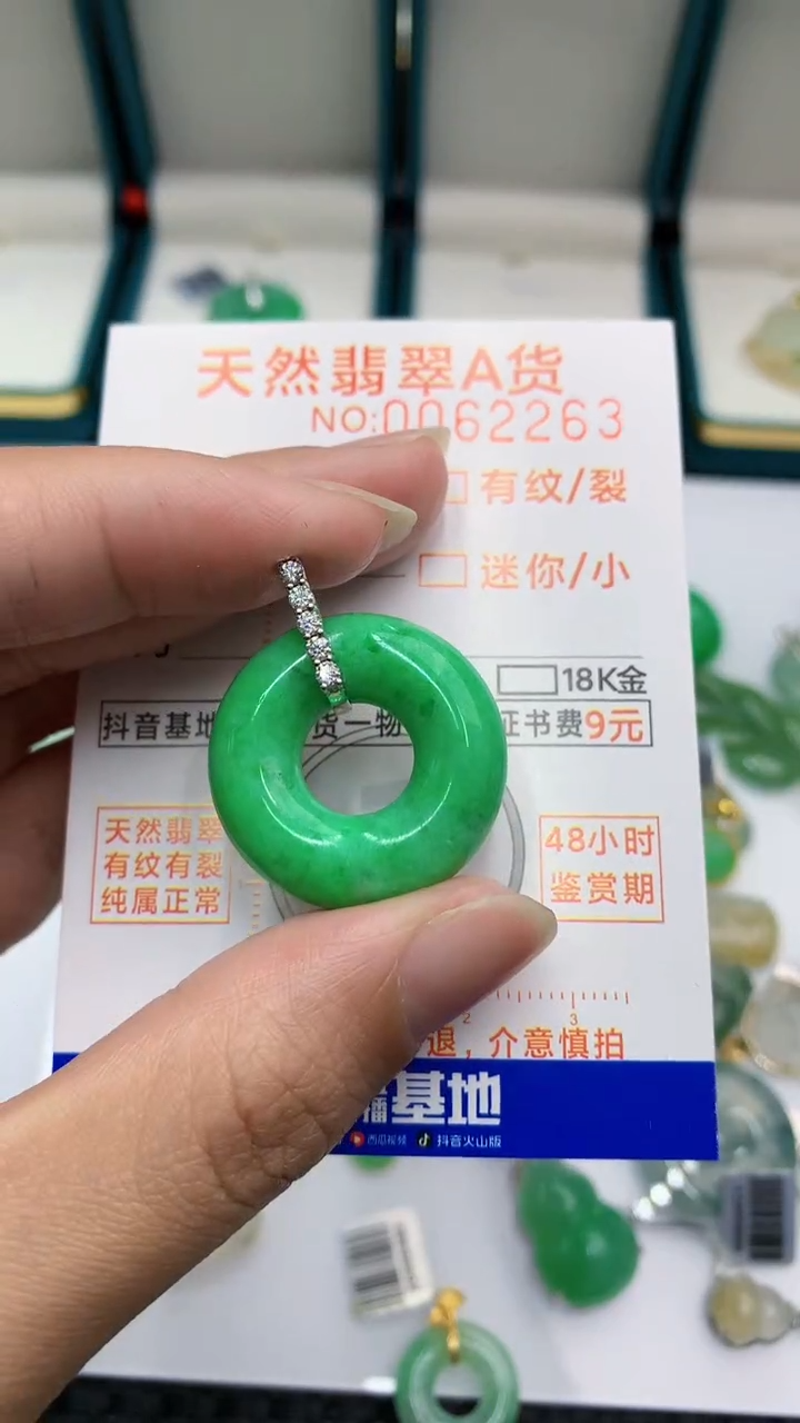 【闪购商品】翡翠颈饰18K金镶嵌            8