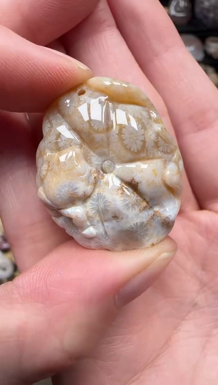 颈饰未镶嵌硅化珊瑚（珊瑚玉）087