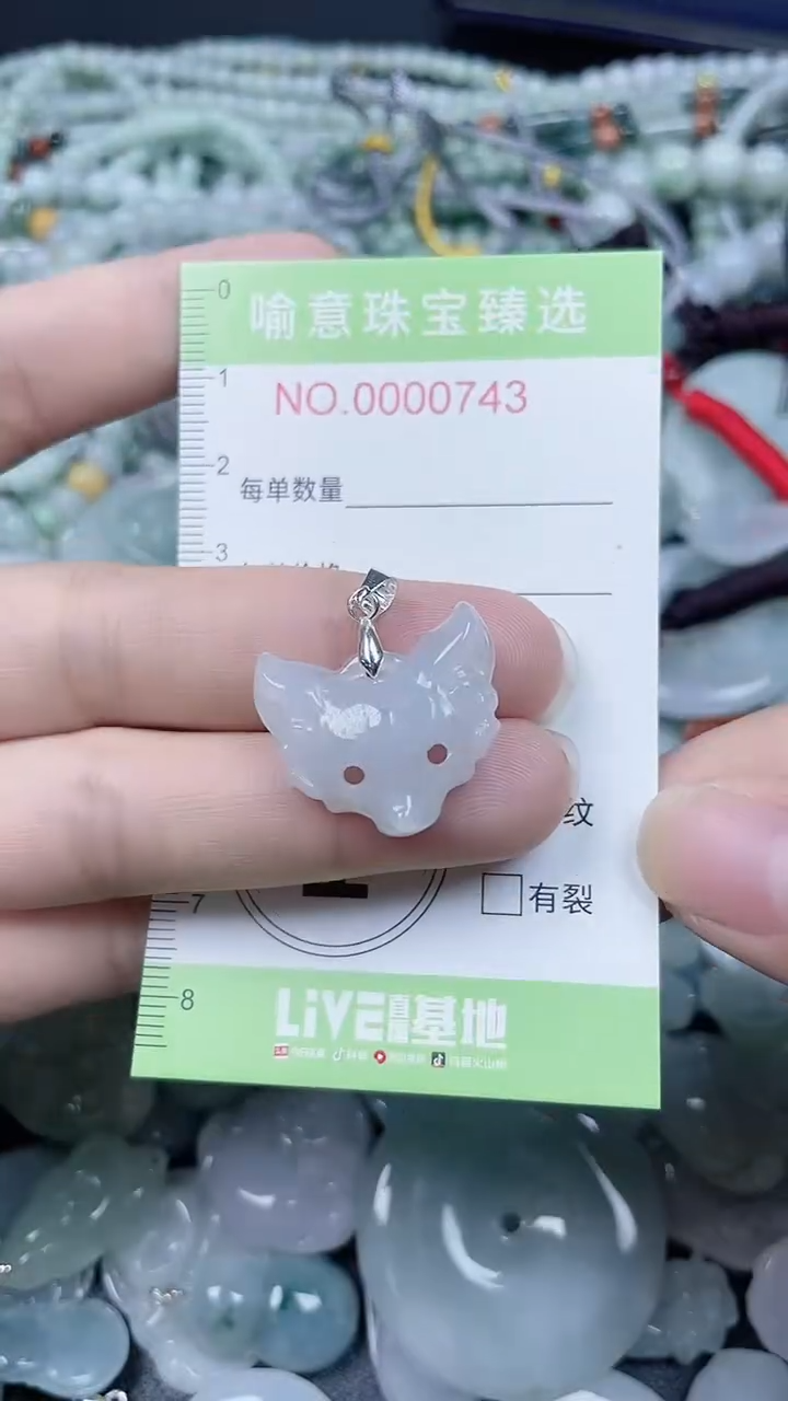 颈饰未镶嵌翡翠012