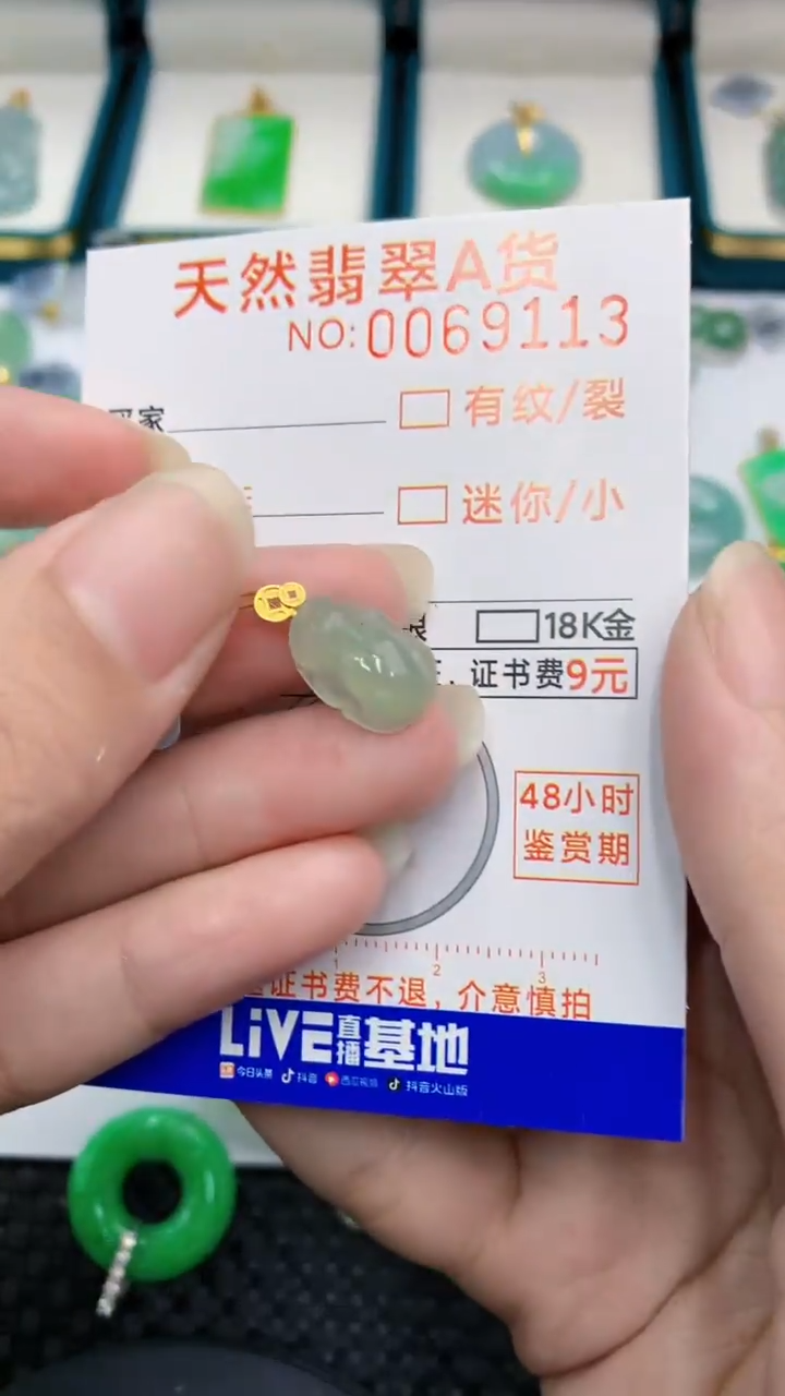 【闪购商品】翡翠颈饰18K金镶嵌            8