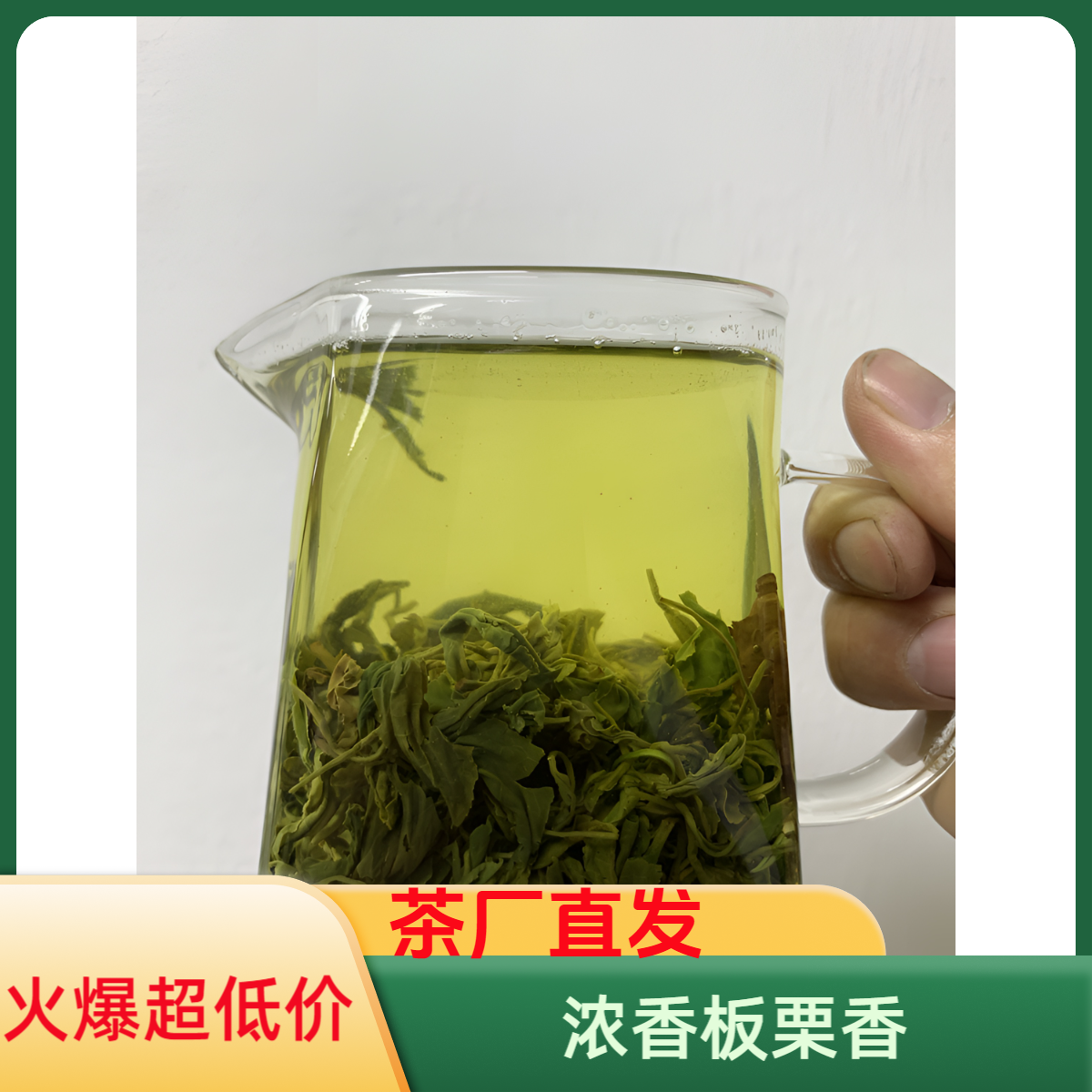 日照绿茶2025新茶浓香板栗香耐冲泡口粮茶足斤足量源头直发49款