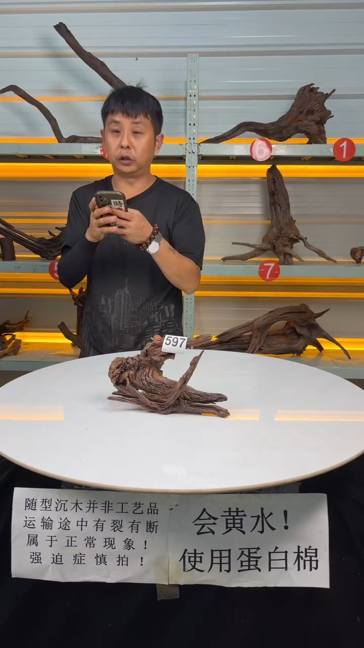 597料场直发 无上色打蜡 不需要煮 会黄水用蛋白棉