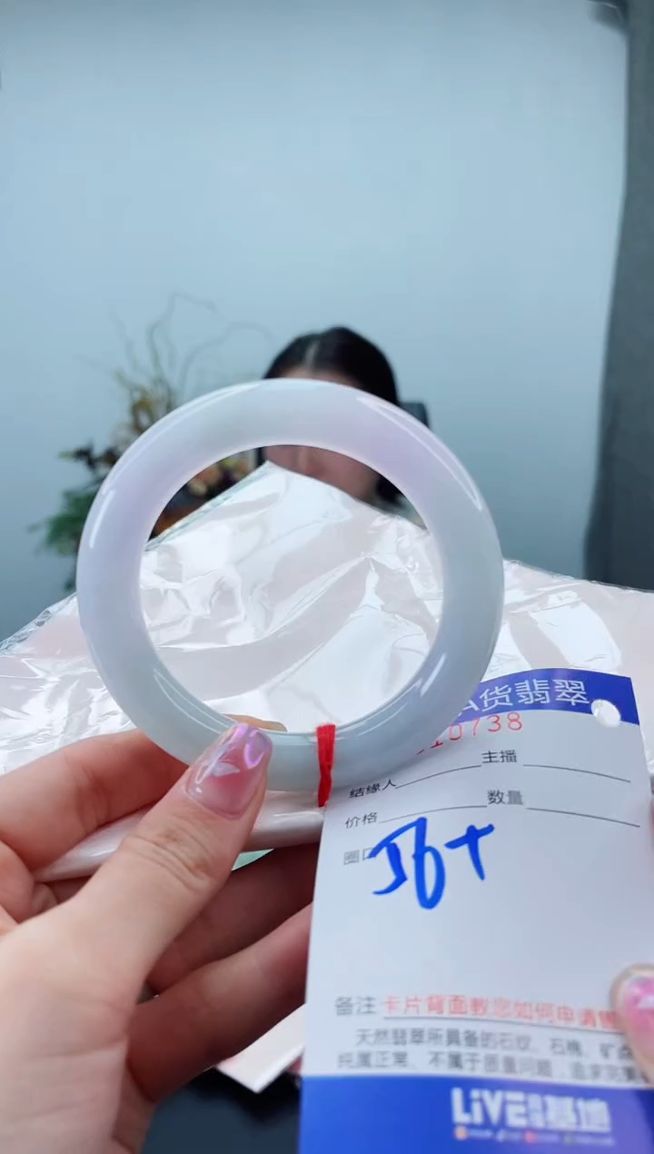 未镶嵌手镯翡翠2