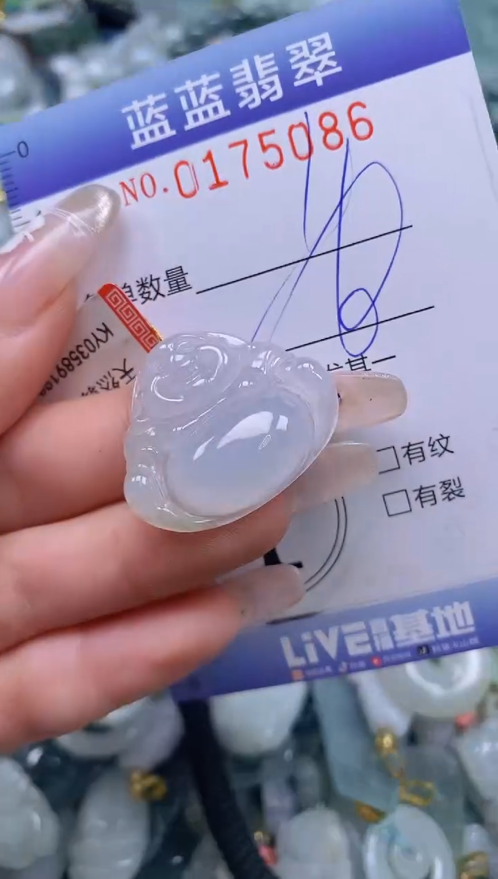 【闪购商品】翡翠颈饰未镶嵌闪购0175086多样性发其一