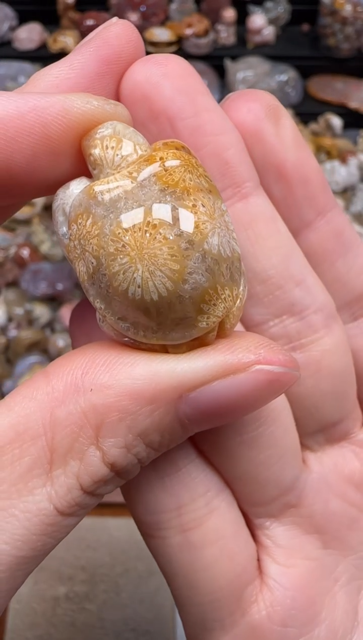 硅化珊瑚（珊瑚玉）未镶嵌颈饰334