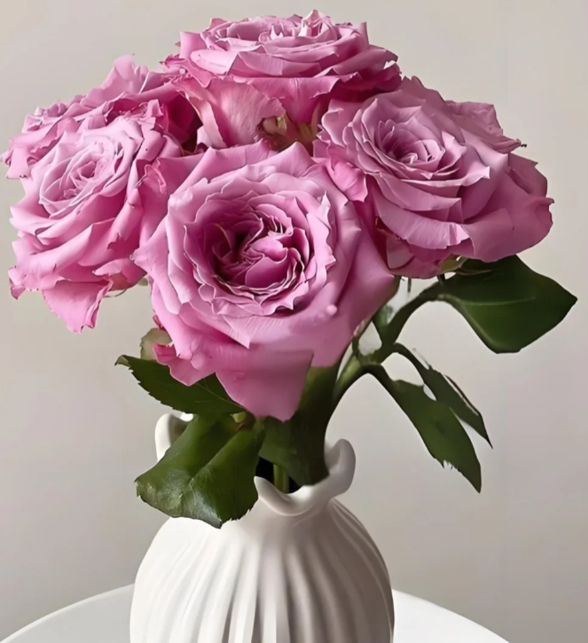 【藩篱匠人/碧海】高品质 紫色系【单头玫瑰】  办公家养鲜切花