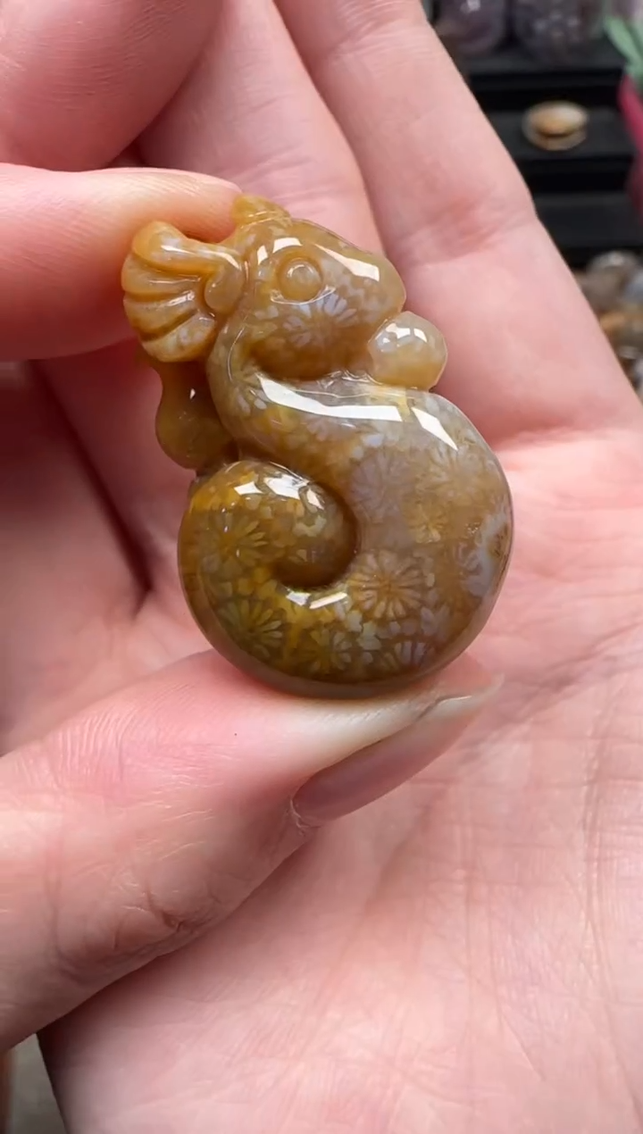 颈饰未镶嵌硅化珊瑚（珊瑚玉）654