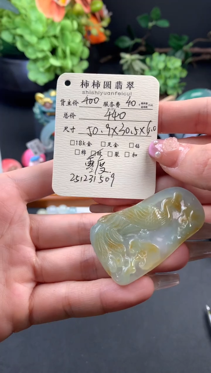 颈饰未镶嵌翡翠变***条姐姐251231509