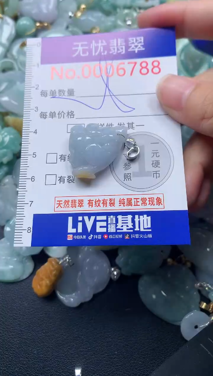颈饰未镶嵌翡翠6788