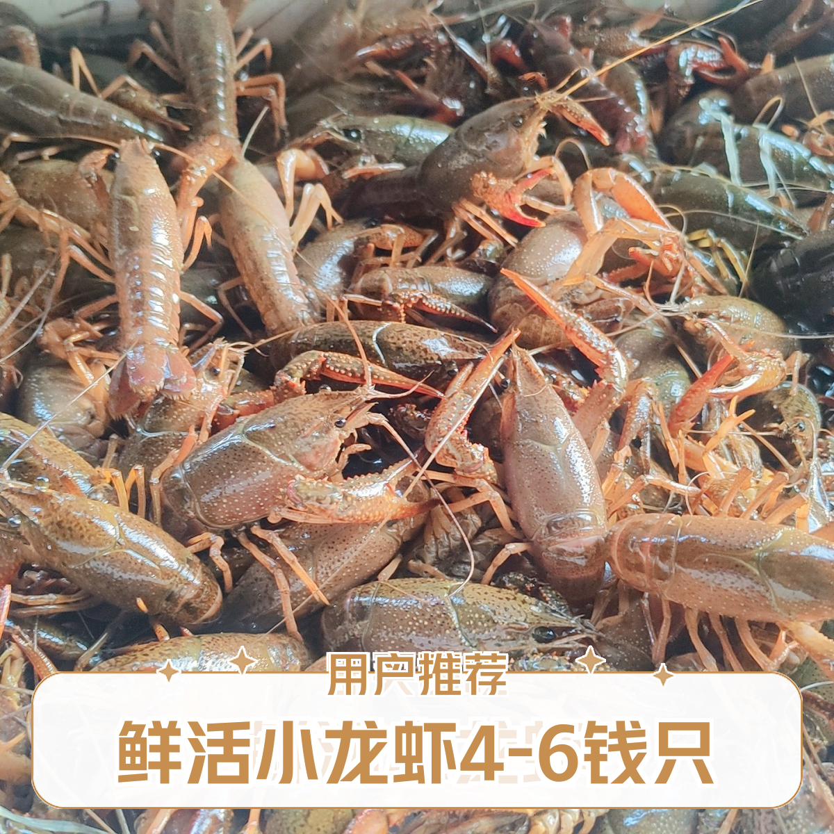中虾小龙虾四斤装