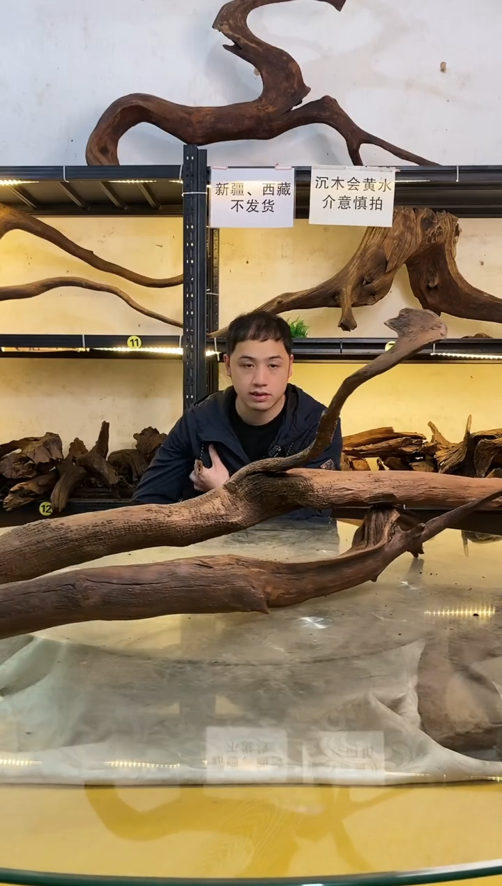 【闪购商品】柚木木艺287鱼缸造景素材