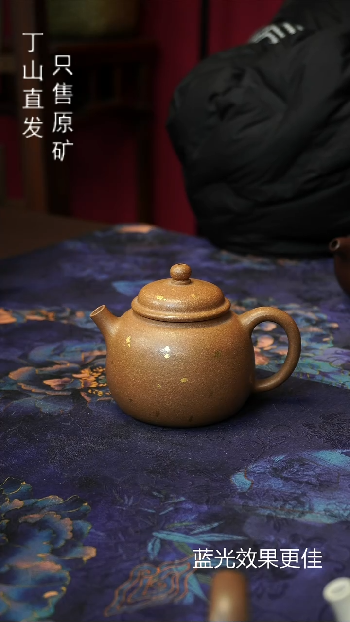 茶壶紫砂可用消费券170ML