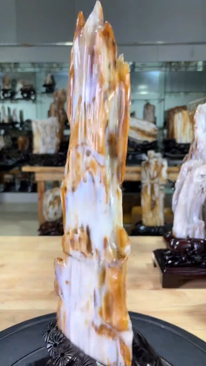 【闪购商品】硅化玉珠宝奇石未镶嵌428