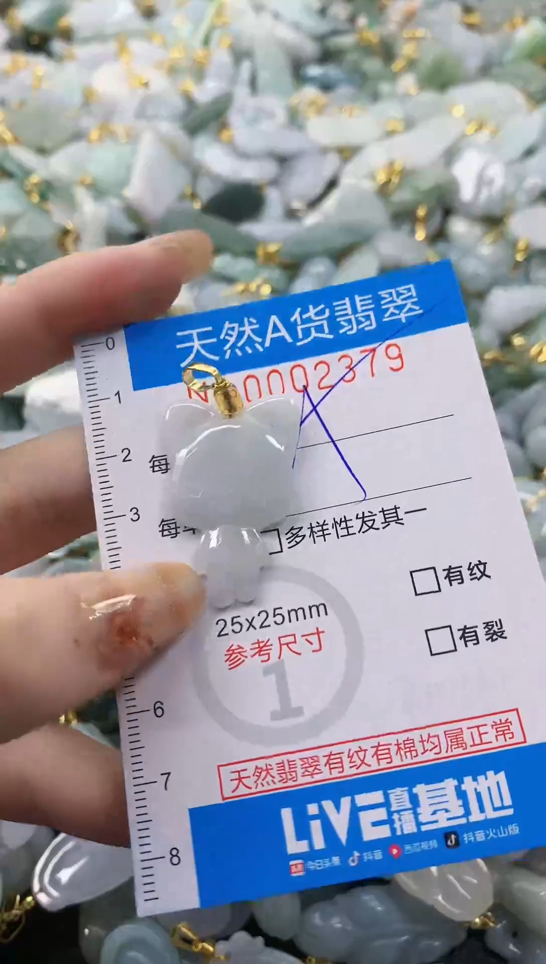 颈饰未镶嵌翡翠藏****)净货挂件-2379