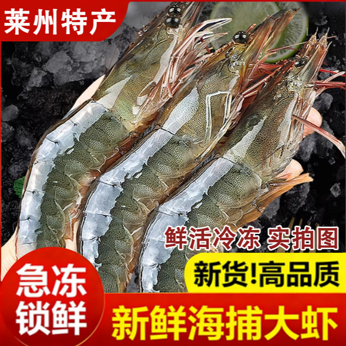 鲜渔侠-烟台莱州新鲜冷冻渤海大虾