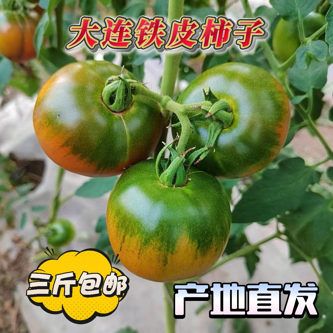 奇妙家优选大连铁皮柿子-精品绿腚口口爆汁顺丰包邮<大果>