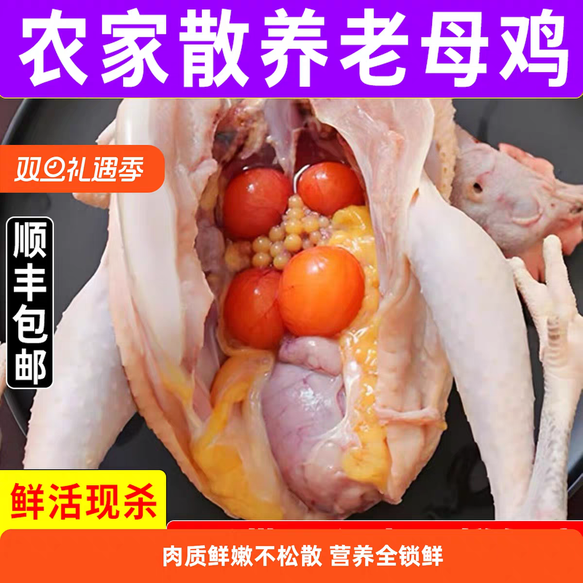 内蒙古农村散养蛋鸡老母鸡（拍1发2到手2只）