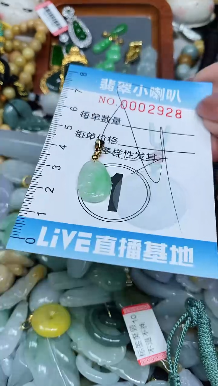 【闪购商品】翡翠颈饰未镶嵌闪购0002928