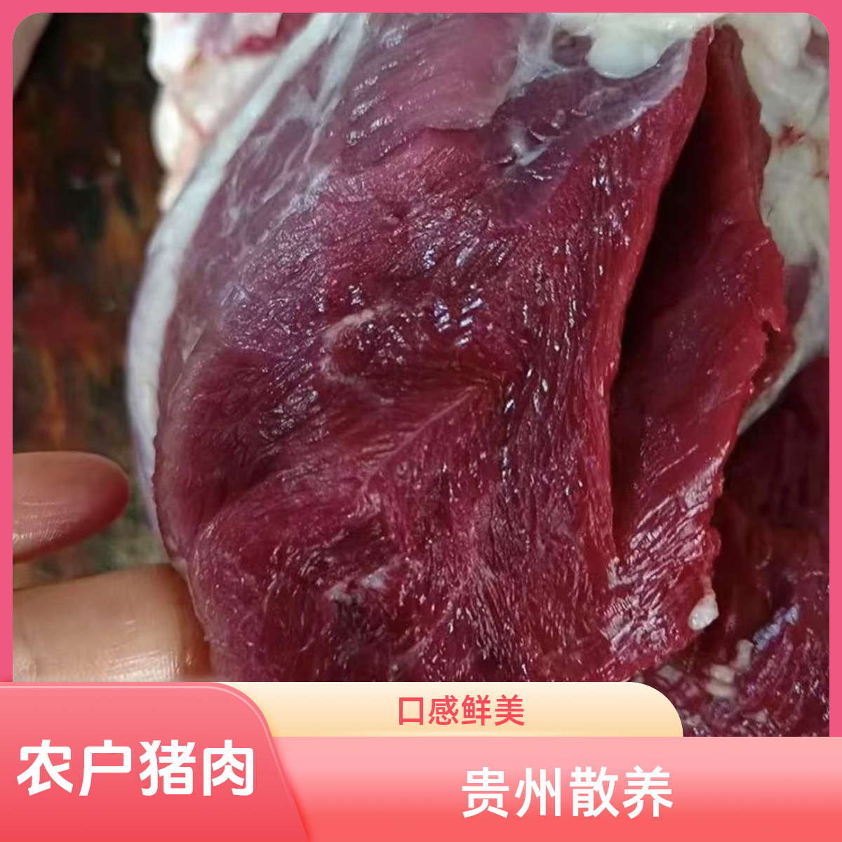 后腿    贵州农户散养熟食猪    下单以直播间称重为准（顺丰包邮）