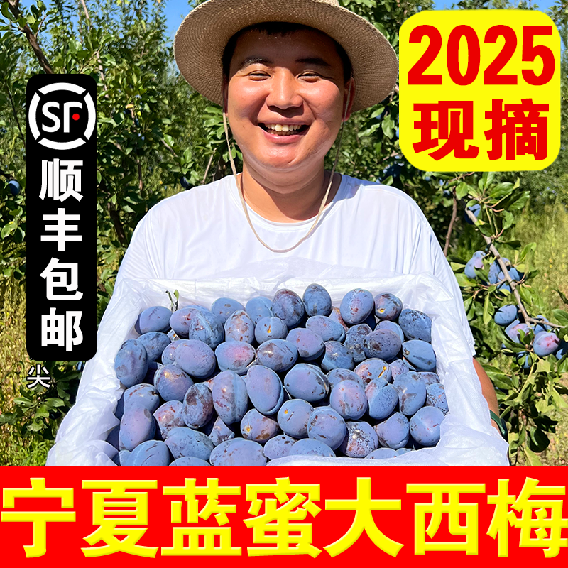 【顺丰】宁夏西梅新鲜水果正宗树上熟摘大西梅当季整箱包邮孕妇