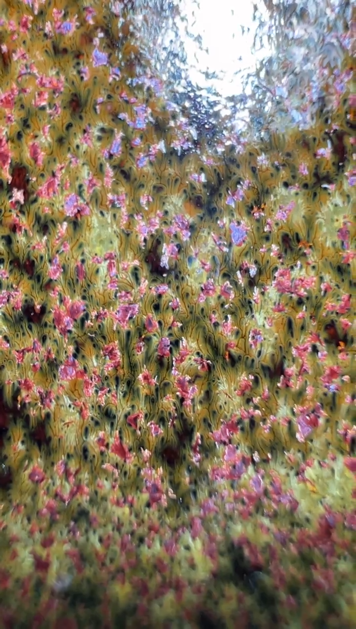 【闪购商品】茶盏15蔡龙老师精品收藏