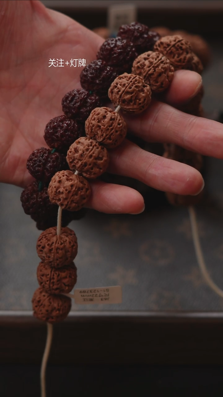 手串金刚菩提原生态超头J63号20尺