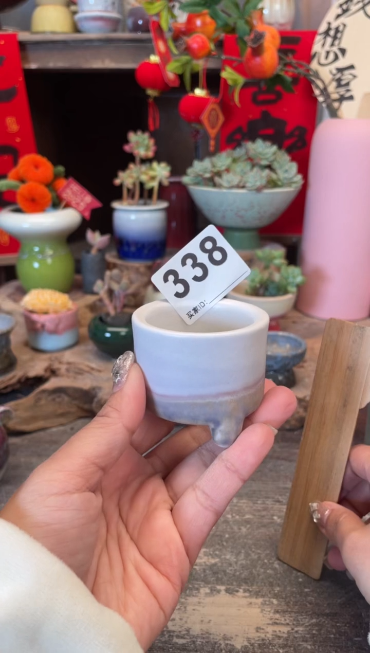 【闪购商品】摆件338知木小芳花盆